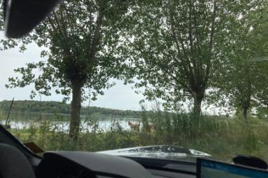 IMG_8091.jpeg IMG_8091.jpeg